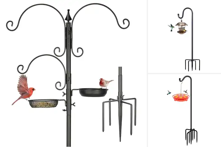 Detailed view of Best Bird Feeder Stands