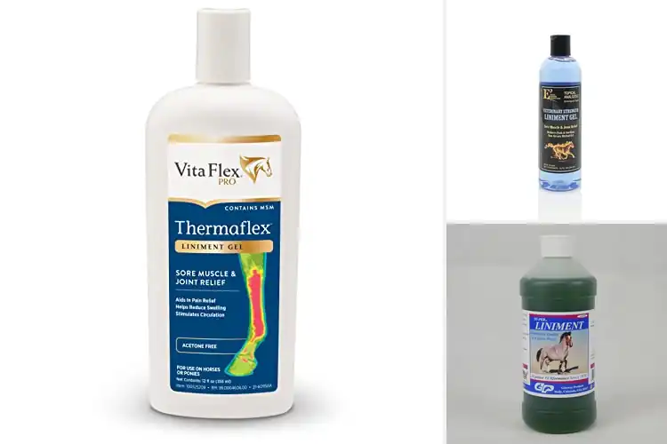 Detailed view of Best Cooling Liniments: Top Picks for Fast Relief