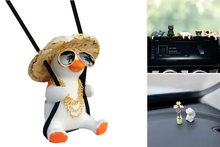 Detailed view of Best Cute Car Accessories For Gifts