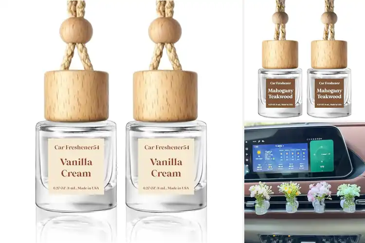 Detailed view of Best Decorative Car Air Fresheners