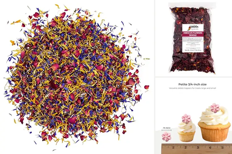 Detailed view of Best Edible Flowers