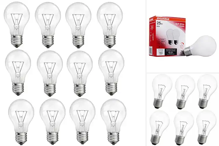 Detailed view of Best Incandescent Interior Light