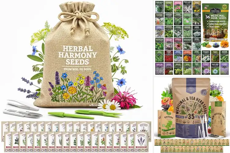 Detailed view of Best Medicinal Herbs