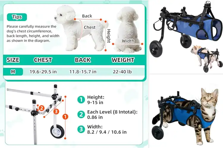 Detailed view of Best Paralyzed Pet Mobility Aids: Regain Freedom & Comfort