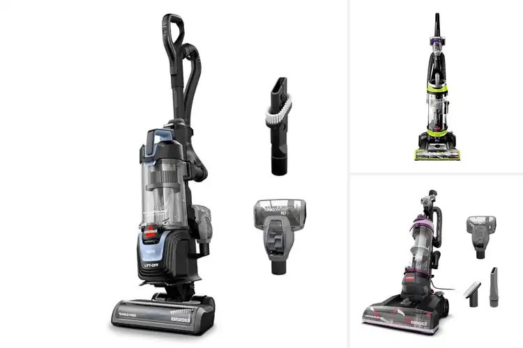 Detailed view of Best Pet Hair Vacuums