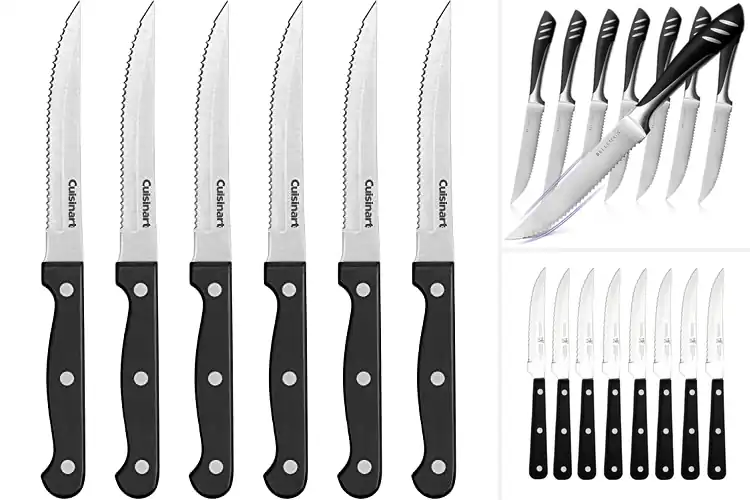 Detailed view of Best Steak Knives Sets