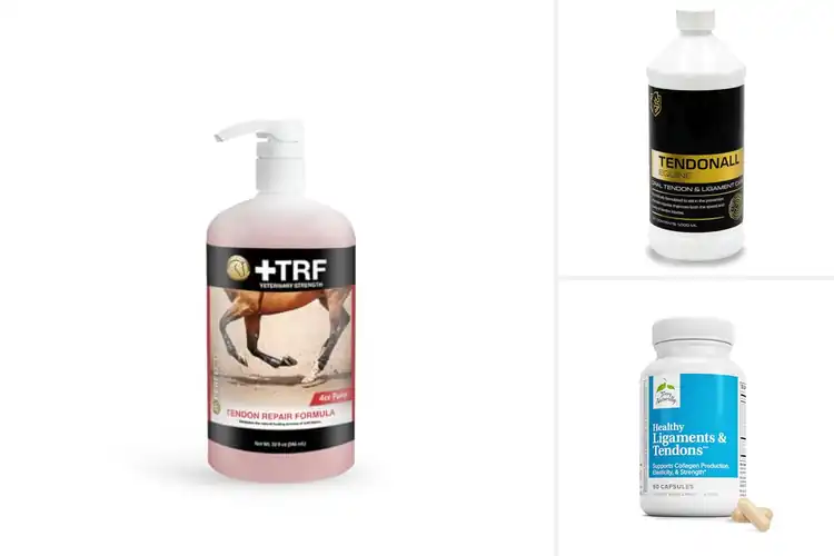 Detailed view of Best Tendon Care Products for Strong, Pain‑Free Movement