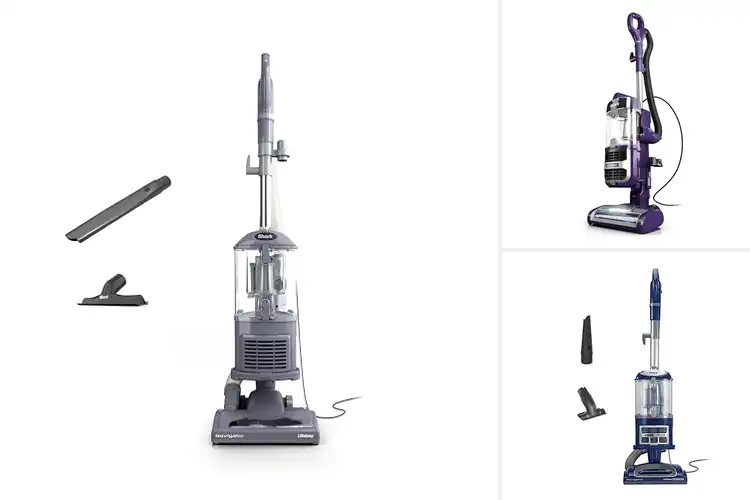 Detailed view of Best Vacuums for Allergies